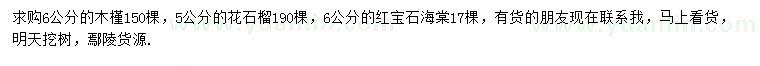 求購木槿、花石榴、紅寶石海棠