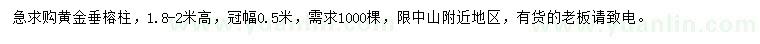 求購高1.8-2米黃金垂榕柱