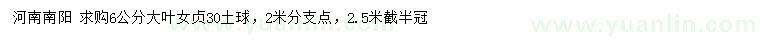 求購6公分大葉女貞