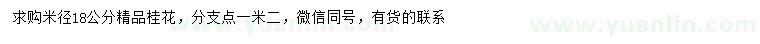 求購米徑18公分桂花