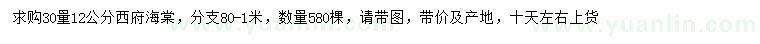 求購30量12公分西府海棠