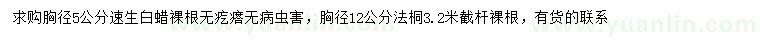 求購(gòu)胸徑5公分速生白蠟、12公分法桐