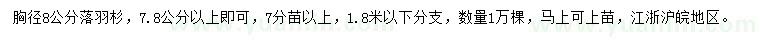 求購胸徑8公分落羽杉