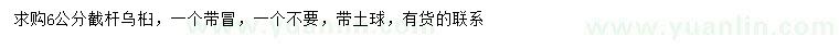 求購(gòu)6公分烏桕