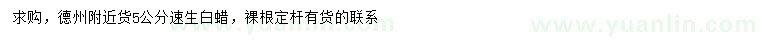 求購5公分速生白蠟