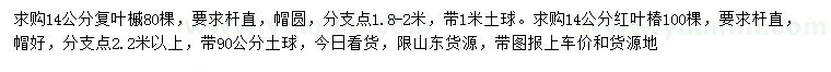 求購14公分復(fù)葉槭、紅葉椿