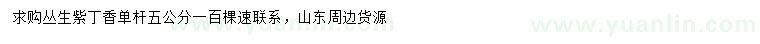 求購(gòu)單桿5公分叢生紫丁香