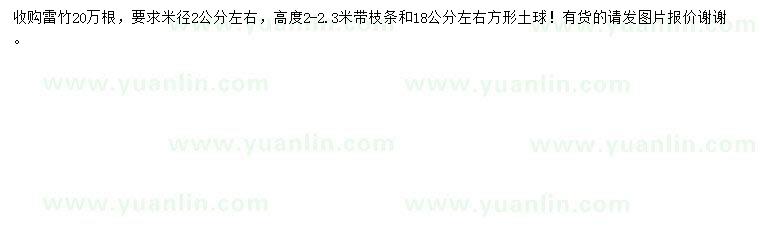 求購米徑2公分左右雷竹