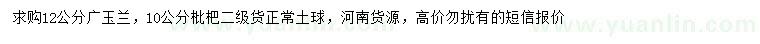 求購(gòu)12公分廣玉蘭、10公分枇杷