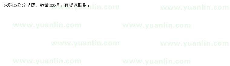 求購(gòu)23公分早櫻
