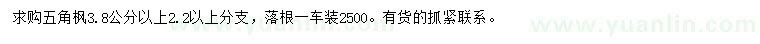 求購3.8公分以上五角楓