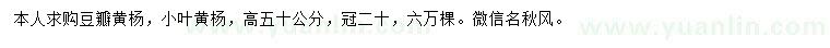 求購高50公分豆瓣黃楊、小葉黃楊