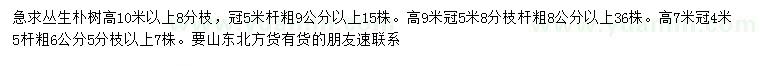求購(gòu)高7、9、10米以上叢生樸