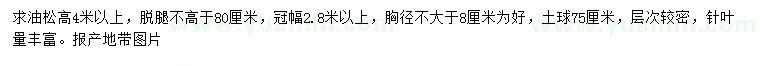 求購(gòu)高4米以上油松