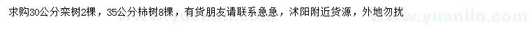 求購30公分欒樹、35公分柿樹