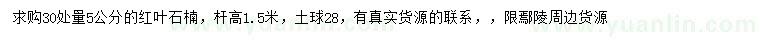 求購30量5公分紅葉石楠