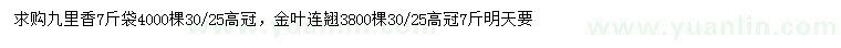 求購(gòu)高30公分九里香、金葉連翹