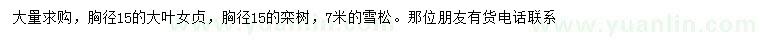 求購大葉女貞、欒樹、雪松