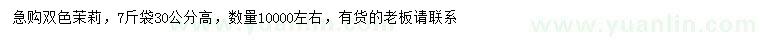 求購高30公分雙色茉莉