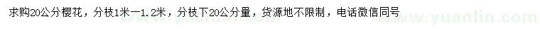 求購(gòu)20公分櫻花