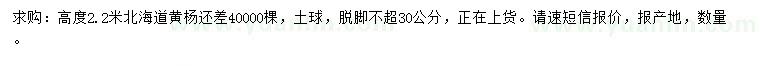 求購高度2.2米北海道黃楊