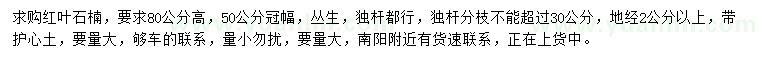 求購(gòu)地徑2公分以上紅葉石楠