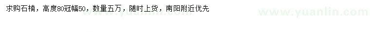 求購(gòu)高度80公分石楠