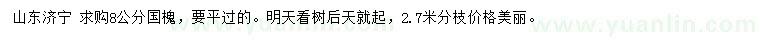 求購8公分國槐
