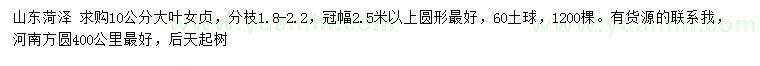 求購(gòu)10公分大葉女貞