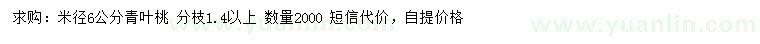 求購(gòu)米徑6公分青葉桃