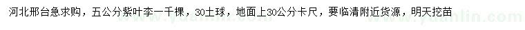 求購地面30公分量5公分紫葉李