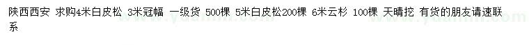 求購4、5米白皮松、6米云杉