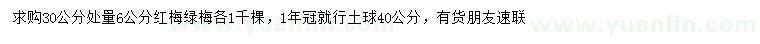 求購30公分處量6公分紅梅、綠梅