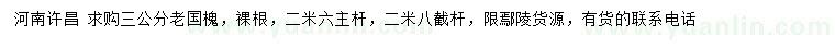 求購3公分老國槐