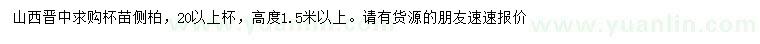 求購高度1.5米以上側(cè)柏