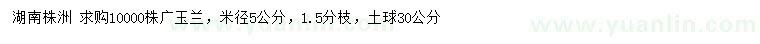 求購(gòu)米徑5公分廣玉蘭
