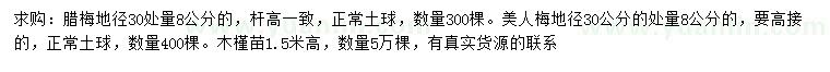 求購臘梅、美人梅、木槿