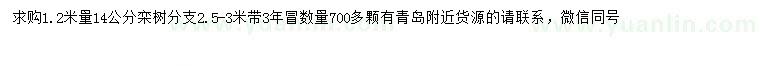 求購1.2米量14公分欒樹