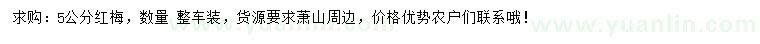 求購5公分紅梅
