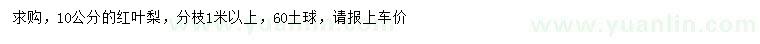 求購10公分紅葉梨