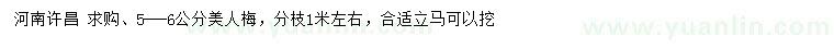 求購(gòu)5-6公分美人梅