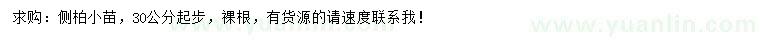 求購30公分起步側(cè)柏小苗