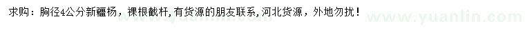 求購胸徑4公分新疆楊