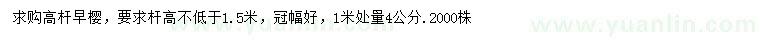 求購1米處量4公分高桿早櫻