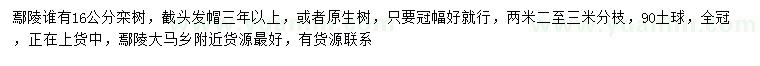 求購16公分欒樹