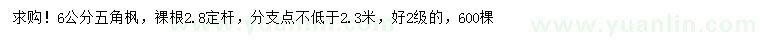 求購6公分五角楓
