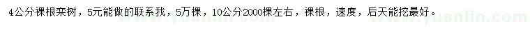 求購(gòu)4、10公分欒樹(shù)
