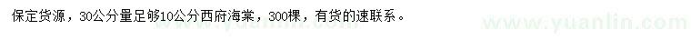 求購30量10公分西府海棠