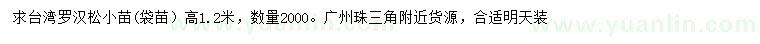 求購高1.2米臺灣羅漢松小苗