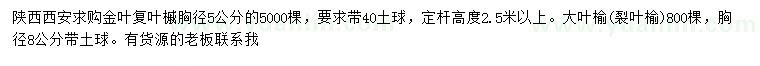 求購(gòu)胸徑5公分金葉復(fù)葉槭、8公分大葉榆